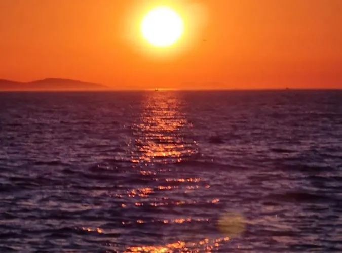 Mihael דירה ביבינייה